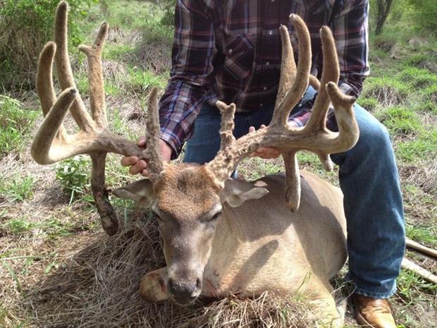 First Deer 2012 - Archery Season - Score 223